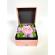 Cutie pentru bijuterii  cu licheni stabilizati si trandafir criogenat roz 8 cm