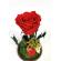 Trandafir criogenat in cupola de sticla 22x12cm