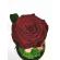 Trandafir criogenat in cupola de sticla 26 cm in cutie cadou