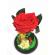 Trandafir criogenat in cupola de sticla in cutie cadou 22 cm x 14 cm