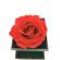 Cutie pentru bijuterii cu trandafir criogenat 8cm rosu, 9x9x10 cm