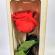 Trandafir criogenat rosu, in cutie lemn cu mesaj “te iubesc”