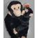 Maimuta care se agata cimpanzeu cu pui