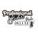Studio profesional de design deluxe