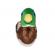Pasare cu sunet rata salbatica - mallard duck