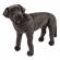 Catel labrador negru gigant din plus melissa & doug