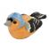 Pasare cu sunet cinteza - chaffinch
