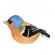 Pasare cu sunet cinteza - chaffinch