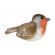Pasare cu sunet macaleandru - european robin