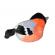 Pasare cu sunet mugurar - bullfinch