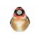 Pasare cu sunet sticlete - european goldfinch
