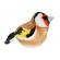 Pasare cu sunet sticlete - european goldfinch