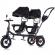 Tricicleta gemeni chipolino 2play obsidian leaves