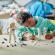 Lego creator 3in1 astronaut 31152