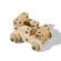 Set creativ - set tamplarie