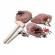 Set creativ de jucarie - excavati fosile