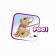 Catelusul poo poo
