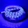 Banda led albastra 3528,  300 leduri, 12v, 5m