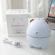Umidificator in forma de ursulet polar , 220 ml, usb