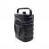 Boxa portabila zqs 6128, 30w p.m.p.o.