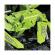 Set de constructie pentru copii andowl, 500 piese, 2 modele