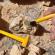 Kit excavare fosile geosafari
