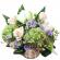 Cutie hortensie greenery