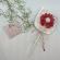 Margareta parfumat daisy flower