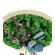 Tablou rotund de lemn cu licheni stabilizati si plante conservate diametru 35 cm