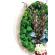 Tablou rotund de lemn cu licheni stabilizati si plante conservate diametru 35 cm
