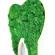 Tablou dinte de lemn cu licheni stabilizati, 31×21 cm, verde inchis