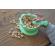 Set 2 castronele cu ventuza silicon melii model dinozaur
