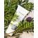 Crema de maini terapia intensiv anti-imbatranire cu struguri Organique 70 ml