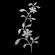 Tatuaj temporar Flower Instict Argint 999