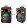 Boxa portabila karaoke zqs10102, 2 microfoane, 90w pmpo, led rgb