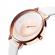 Ceas de dama model Shengke culoarea alb / aur roz mecanism Quartz 38mm