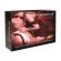 Joc de cuplu Fifty Nights of Naughtiness joc cu provocari erotice in limba engleza