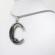 Pandantiv din inox model pisica si luna culoare argintiu 5 cm