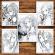 Carte de colorat pentru relaxare si antistres 50 de ilustratii Anime Girls with Animals Editura Legendary Print 106 pagini