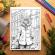 Carte de colorat pentru relaxare si antistres 50 de ilustratii Fantasy Cats 106 pagini