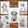Carte de colorat pentru relaxare si antistres 50 de ilustratii Fantasy Dogs 106 pagini