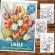 Carte de colorat pentru relaxare si antistres 50 de ilustratii Lalele 106 pagini