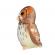 Pasare cu sunet bufnita bruna - tawny owl