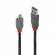 Cablu lindy 5m usb 2.0 type a - microusb