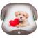 Inaltator auto chipolino uty i-size 125-150 cm doggie