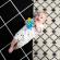 Jucarie de dentitie si alinare ocean explorers opus baby einstein