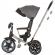 Tricicleta cu copertina si sezut reversibil chipolino derby granite