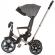 Tricicleta cu copertina si sezut reversibil chipolino derby granite