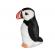 Pasare cu sunet papagal de mare - atlantic puffin