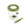 Cutie pentru insecte explora navir